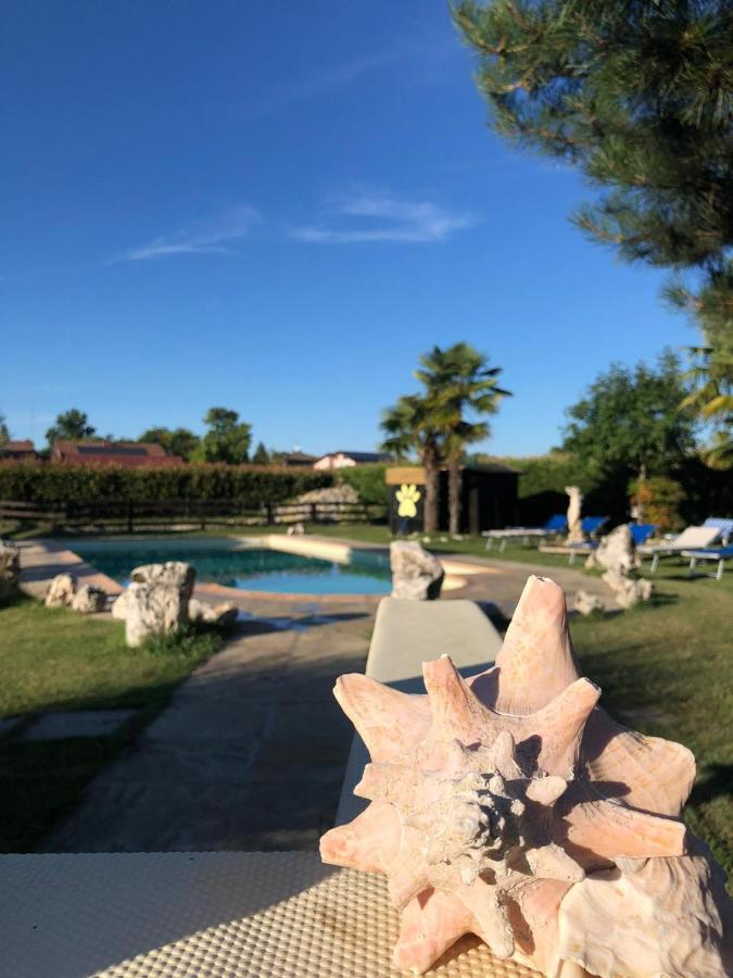B&B La Zampa Pieve Otto Ville 외부 사진